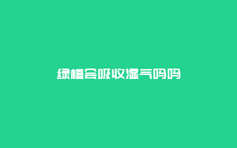 绿植会吸收湿气吗吗