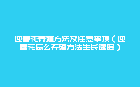 迎春花养殖方法及注意事项（迎春花怎么养殖方法生长速度）