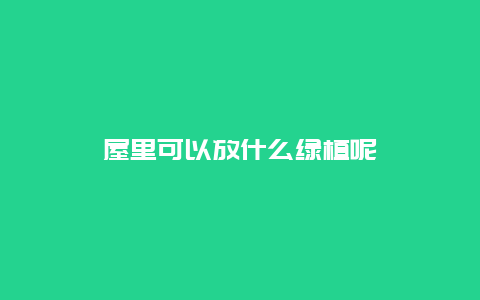 屋里可以放什么绿植呢