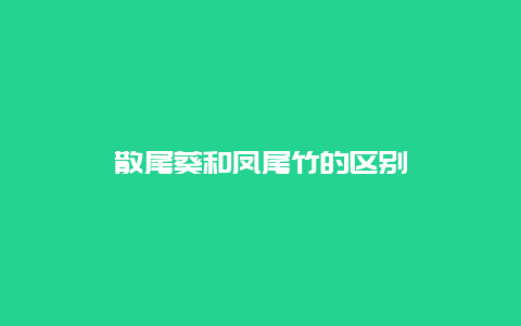 散尾葵和凤尾竹的区别