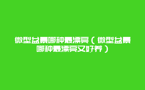 微型盆景哪种最漂亮（微型盆景哪种最漂亮又好养）