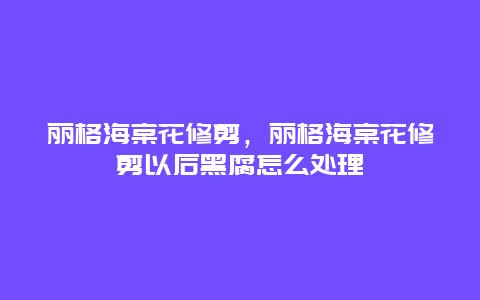 丽格海棠花修剪，丽格海棠花修剪以后黑腐怎么处理