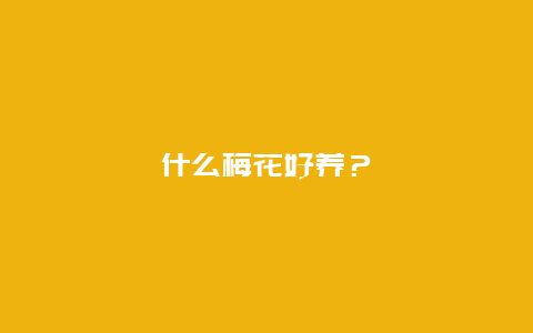 什么梅花好养？