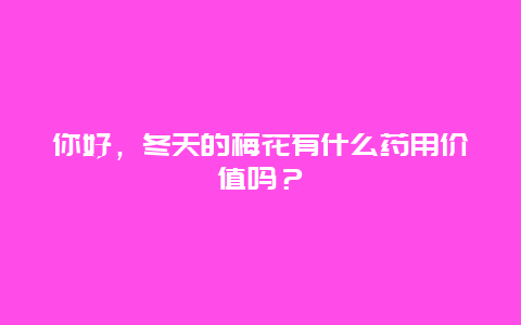 你好，冬天的梅花有什么药用价值吗？