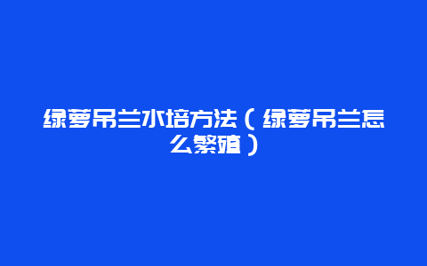 绿萝吊兰水培方法（绿萝吊兰怎么繁殖）