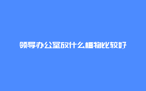 领导办公室放什么植物比较好