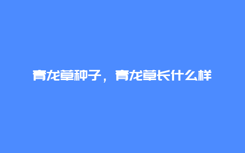 青龙草种子，青龙草长什么样