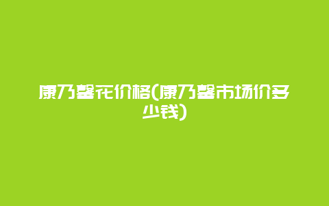 康乃馨花价格(康乃馨市场价多少钱)