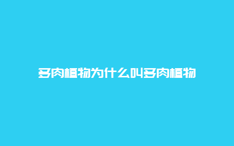 多肉植物为什么叫多肉植物