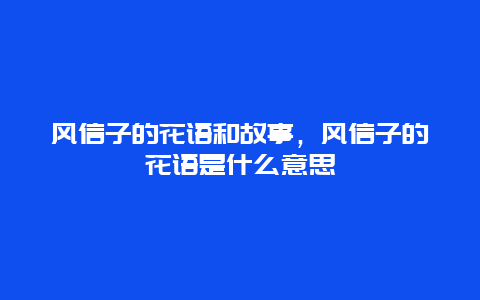 风信子的花语和故事，风信子的花语是什么意思