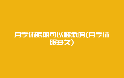 月季休眠期可以移栽吗(月季休眠多久)