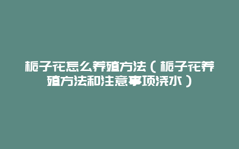 栀子花怎么养殖方法（栀子花养殖方法和注意事项浇水）