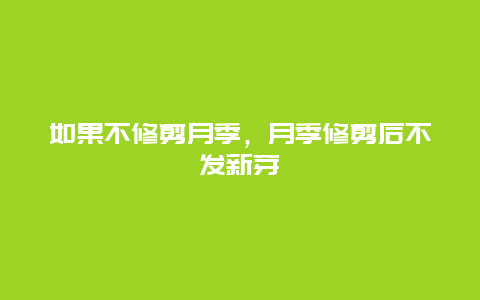 如果不修剪月季，月季修剪后不发新芽