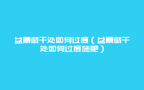 盆景截干处如何过度（盆景截干处如何过度施肥）