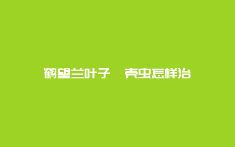 鹤望兰叶子蚧壳虫怎样治