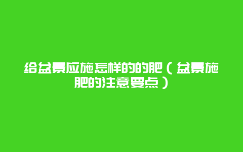 给盆景应施怎样的的肥（盆景施肥的注意要点）