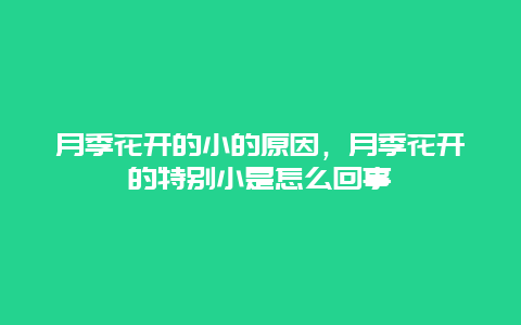 月季花开的小的原因，月季花开的特别小是怎么回事