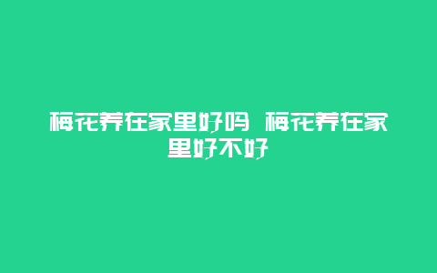 梅花养在家里好吗 梅花养在家里好不好