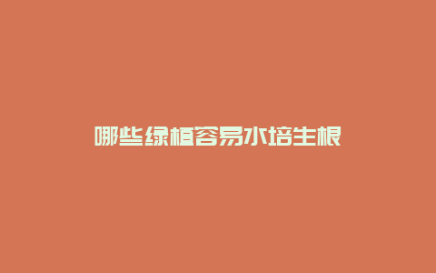 哪些绿植容易水培生根