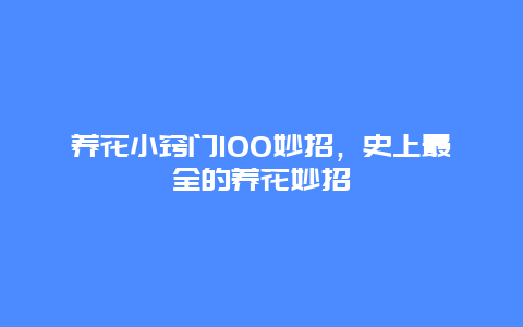 养花小窍门100妙招，史上最全的养花妙招