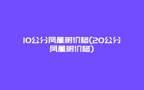 10公分凤凰树价格(20公分凤凰树价格)