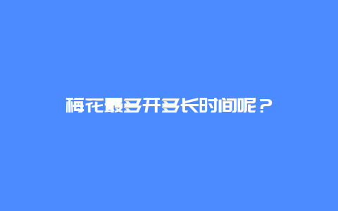 梅花最多开多长时间呢？