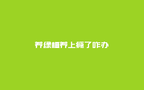 养绿植养上瘾了咋办