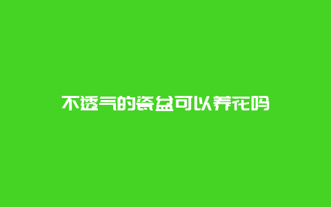 不透气的瓷盆可以养花吗