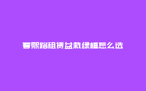 春熙路租赁盆栽绿植怎么选