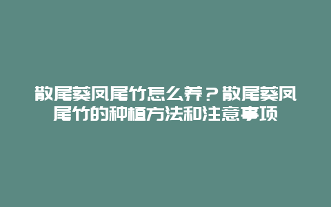 散尾葵凤尾竹怎么养？散尾葵凤尾竹的种植方法和注意事项