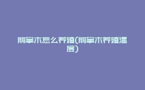 鹅掌木怎么养殖(鹅掌木养殖温度)