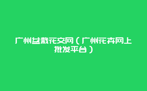 广州盆栽花交网（广州花卉网上批发平台）