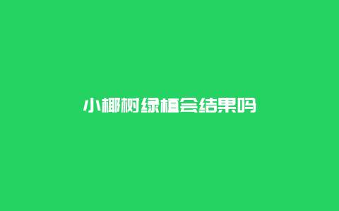 小椰树绿植会结果吗