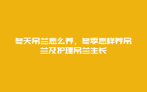 冬天吊兰怎么养，冬季怎样养吊兰及护理吊兰生长