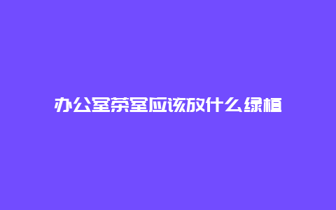 办公室茶室应该放什么绿植