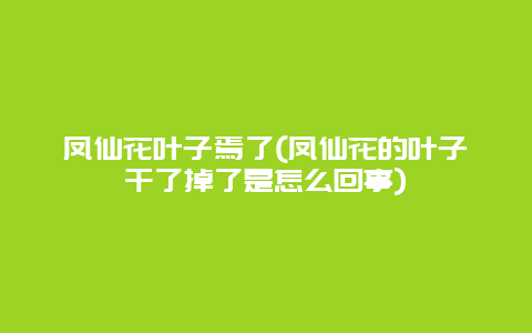 凤仙花叶子焉了(凤仙花的叶子干了掉了是怎么回事)