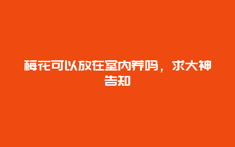 梅花可以放在室内养吗，求大神告知