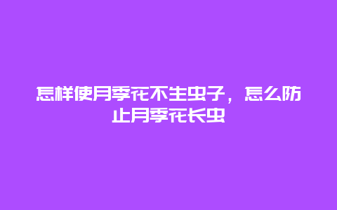 怎样使月季花不生虫子，怎么防止月季花长虫