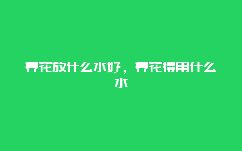 养花放什么水好，养花得用什么水