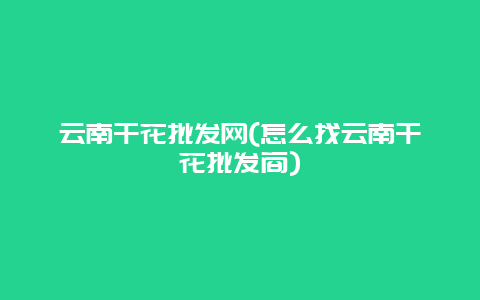 云南干花批发网(怎么找云南干花批发商)