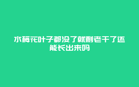 水梅花叶子都没了就剩老干了还能长出来吗