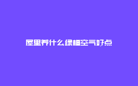 屋里养什么绿植空气好点