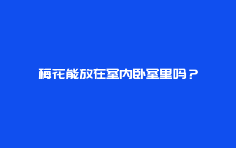 梅花能放在室内卧室里吗？