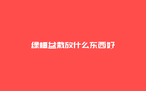 绿植盆栽放什么东西好