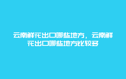 云南鲜花出口哪些地方，云南鲜花出口哪些地方比较多