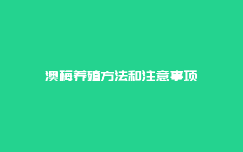 澳梅养殖方法和注意事项