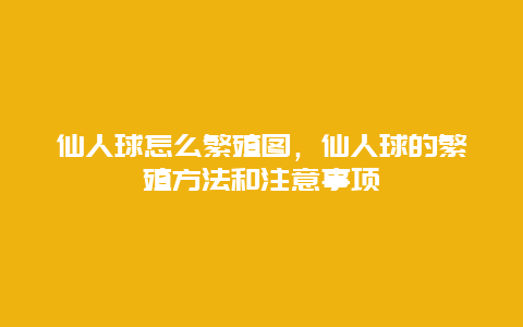 仙人球怎么繁殖图，仙人球的繁殖方法和注意事项