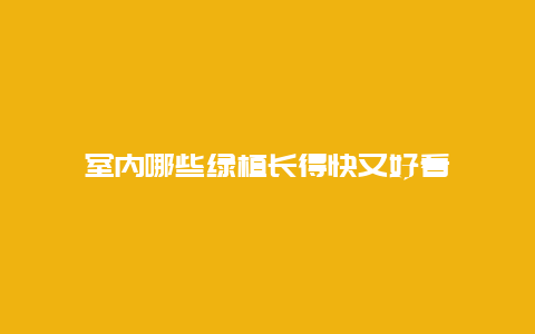 室内哪些绿植长得快又好看