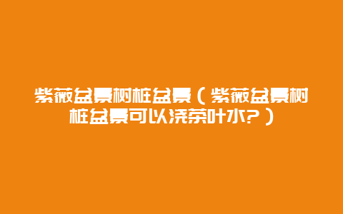 紫薇盆景树桩盆景（紫薇盆景树桩盆景可以浇茶叶水?）