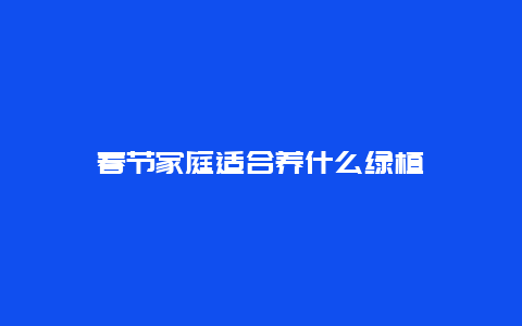 春节家庭适合养什么绿植